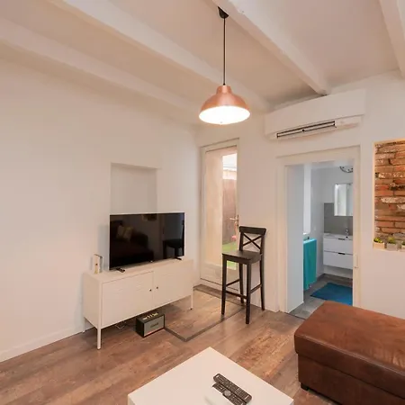 Appartement L'aubuisson - Climatise Avec Terrasse Privee Toulouse
